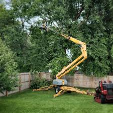 Clive, IA  Tree Services Company