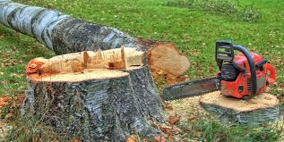 Best Firewood Processing and Delivery  in Clive, IA